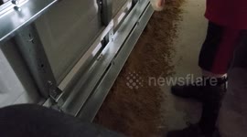 Using over 100 Pounds of Sand to try and keep rushing flood waters out of a game from tropical storm Ophelia