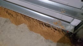 Man and Family Pray that Hard Work and Creativity Keep their House from Being Flooded in Storm Ophelia