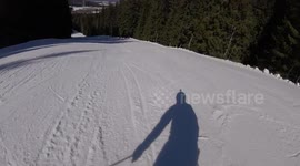 Ski Run Interrupted by Moose