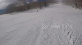 Wild Chase On The Slopes
