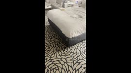 Housekeeping Keeps Things Extra Clean