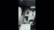 temp