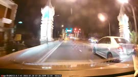 Jay-walking monitor lizard holds up cars on bridge in Thailand