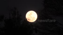 Supermoon Seen in Sao Paulo, Brazil