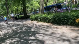 summer afternoon scene on upper level of Riverside Park, NY, NY