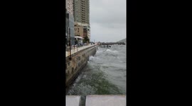 Footage shows strong waves and winds as Powerful Typhoon Saola passes Hongkong
