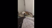 temp