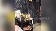 temp
