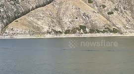 Doubts surround Chinese woman's claim she saw '50-foot monster' in lake