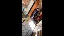 Heroic rescue efforts amidst phosphorus mines: saving 'Malysh' the dog in Chasiv Yar, Ukraine