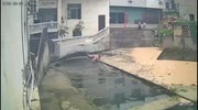 temp