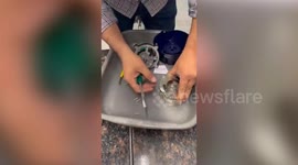 Customs officials seize gold worth $60,000 concealed in motors at Indian airport