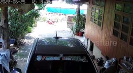 Cheeky snake chases motorcycle rider out of his house