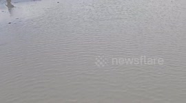 Embracing the unexpected: walking through the mud at Burning Man 2023