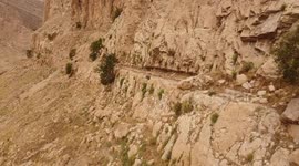 Amazing Antelopes Scale The Rocks