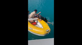 When the Rescuer Needs Rescuing