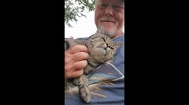 Sometimes It's Better to Let Sleeping Cats Lie