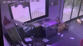 Smart pet cat accidentally locked inside office opens window to escape