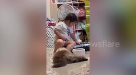 Little girl trembles as she sits on mum’s vibrating exercise machine