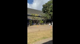 Independence day sack race unexpected turn as a participant falls face first on the ground