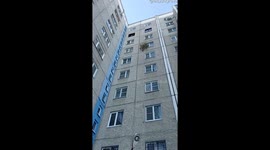 Discarded Tree Drifts Down into Snow