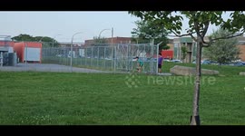 Entering A Restricted Area To Retrieve A Toy