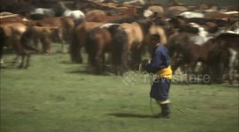 Ma Touqin, an intangible cultural heritage.