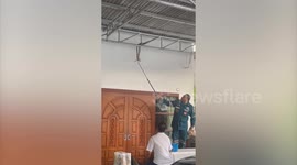 Father removes python from ceiling rafters as his family screams in panic