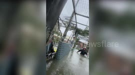 Hero woman pulls stray puppies from their flooded shelter in China