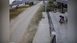 Aggressive pet dog attacks his owner's son while playing