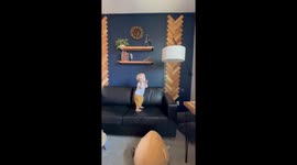 Future Baller Makes The Basket