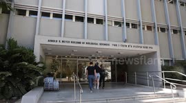 Israeli researchers grow human embryo models from stem cells to study human embryonic development