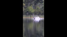 Loon Aborts Take Off