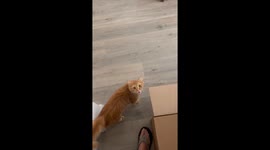 Kanpai Wants Me to Fix a Problem