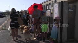 150 Golden Retrievers Take Over a Sussex Lido, UK