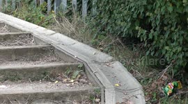 Terror suspect Daniel Khalife found on stairs by canal in London, UK