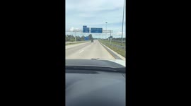 Python on car bonnet flaps around in the wind while travelling on motorway