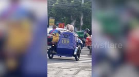Pet dog stands on the roof of rickshaw as it drives through traffic