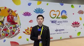 Experts applaud African Union's membership in G20