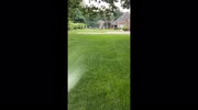 temp