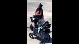Mother in Venice Beach captures the perfect blend of parenting and passion on wheels