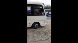 Unleashed shepherd takes the wheel: dog holds bus hostage in Rostov's Staraya Stanitsa