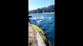 Woman feels like an 8-year-old again following unforgettable encounter with Orcas