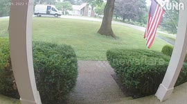 Delivery Driver Chased by Dog (ID: 351773314)