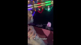 Pet Labrador Retriever is terrified of goose swimming beside their boat on lake