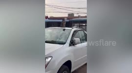Pet cat sits on car roof as owner prepares to drive