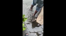 Doting uncle builds makeshift bridge with wooden benches for niece to cross flood