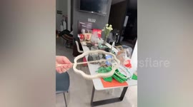 Housewife shows how to make a fan from silkworms