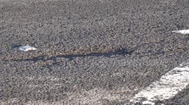 Road surface work at four-year low, say figures in UK