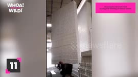 Top 11 Skilled Worker Moments